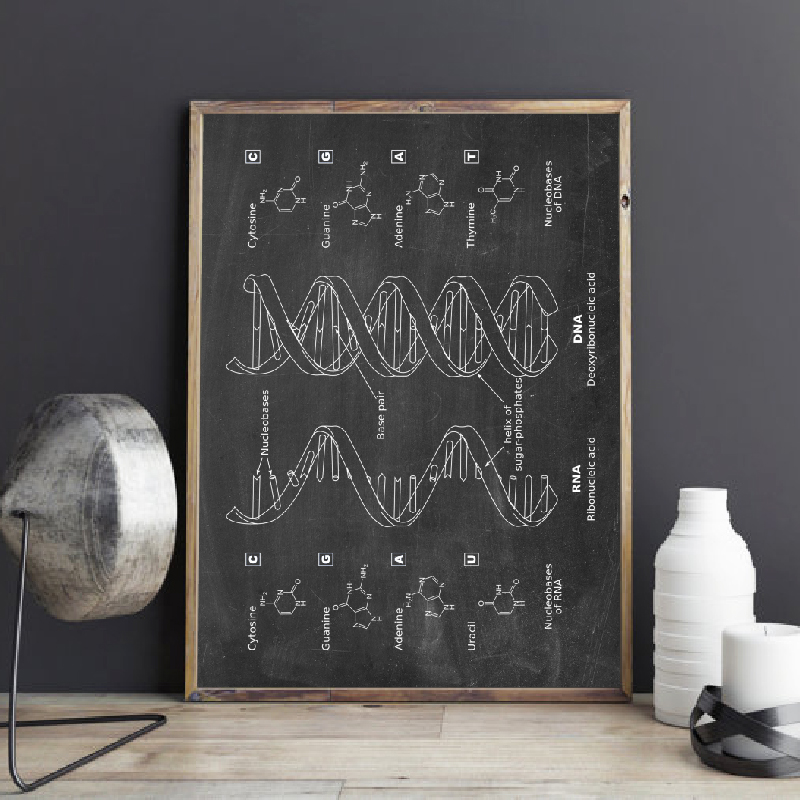 Star Map Poster - DNA Patent Wall Art Genetica Posters