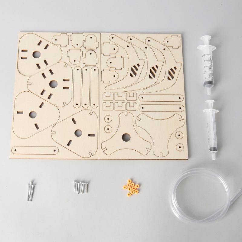 DIY STEM zuiger hydraulische m - Science Project Kit recensie en prijs